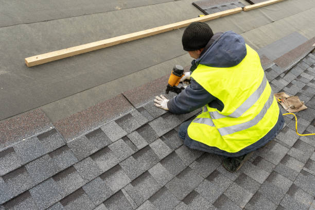 Best Roof Leak Repair  in Sidney, IL
