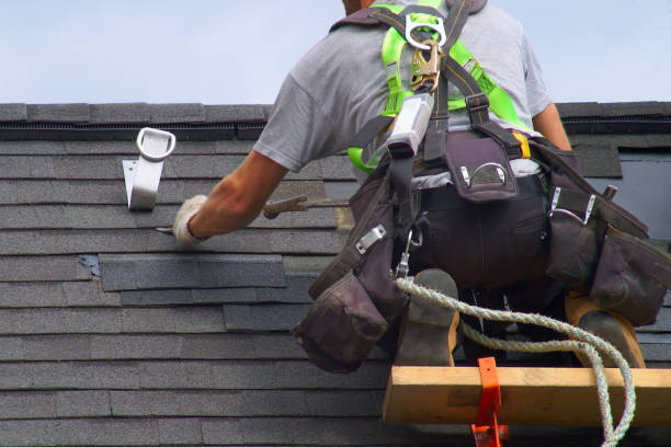 Best Shingle Roofing Installation  in Sidney, IL