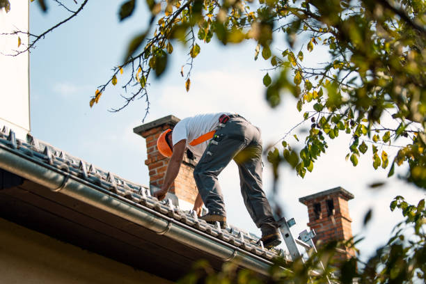 Best Gutter Installation and Roofing  in Sidney, IL