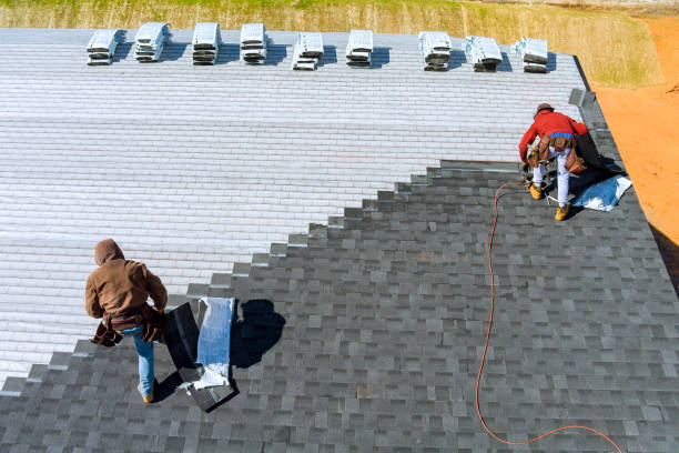 Best Roof Gutter Cleaning  in Sidney, IL