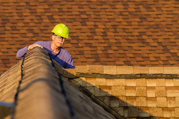 Roof Repair Estimates in Sidney, IL