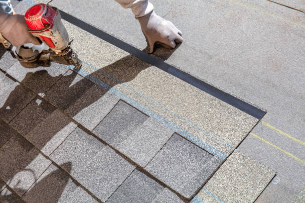Best Roof Maintenance Services  in Sidney, IL