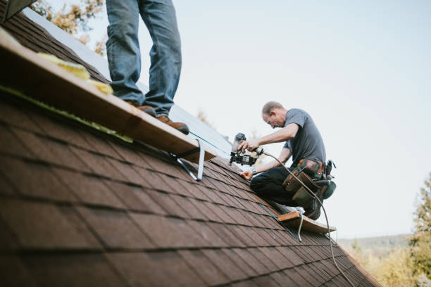 Best Storm Damage Roof Repair  in Sidney, IL