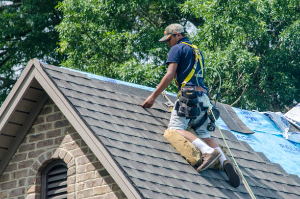 Best Metal Roofing Contractor  in Sidney, IL